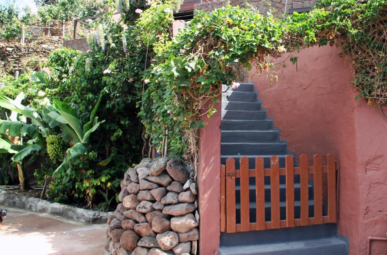 Tonono'S Village Santa María de Guía de Gran Canaria Exterior foto