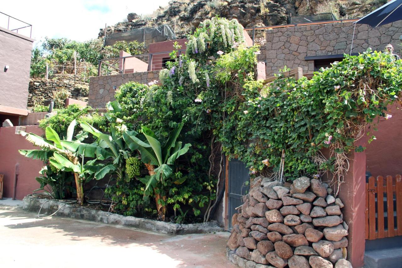 Tonono'S Village Santa María de Guía de Gran Canaria Exterior foto